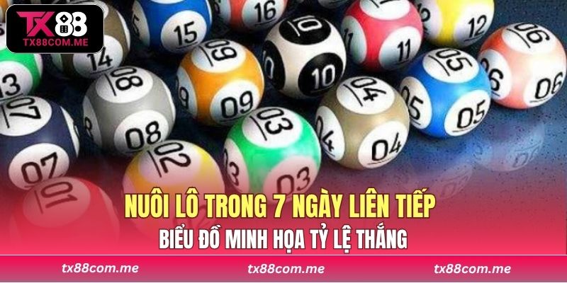 Biểu đồ minh họa tỷ lệ thắng khi áp dụng chiến lược nuôi lô trong 7 ngày liên tiếp 