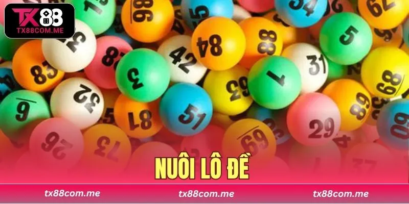nuôi lô đề